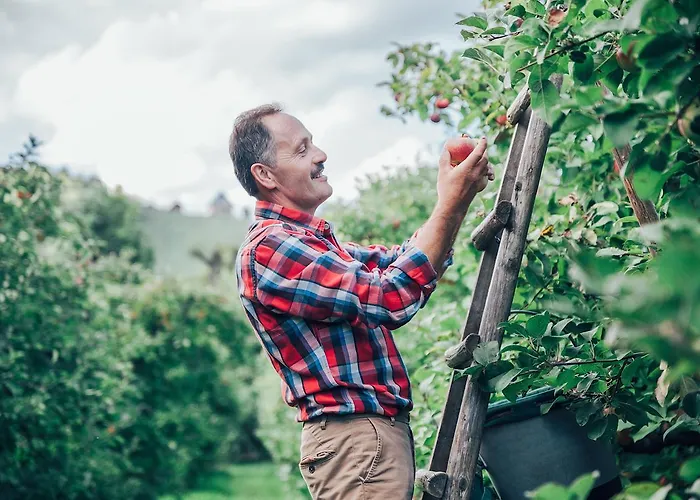 Gaestehaus Kleindienst